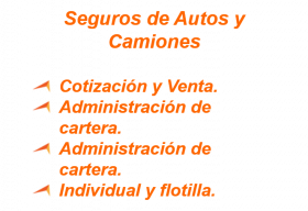 gallery/seguro autos